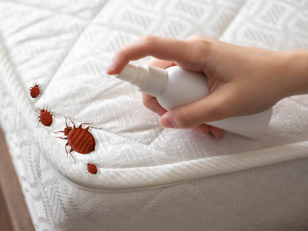 Best Pest Prevention Services  in Eaton, OH